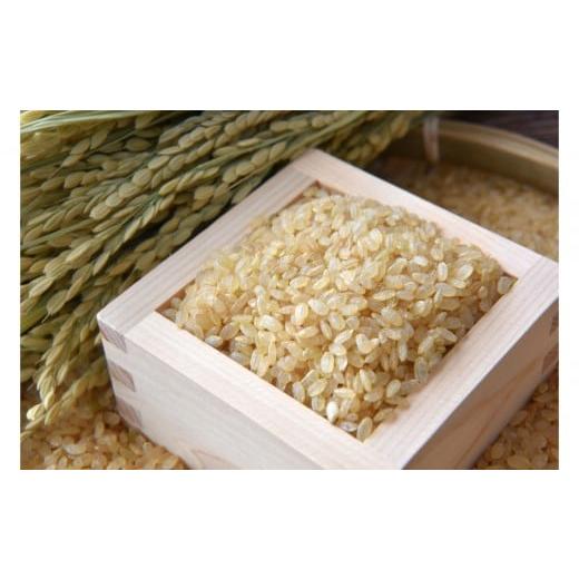 ふるさと納税 玄米 栃木県 日光市 日光ダイヤ舞1年目 玄米5キロ 有機栽培農薬不使用 こしひかり 令和7年度米