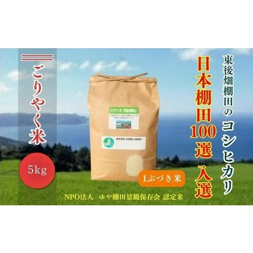 ふるさと納税 米 コシヒカリ 山口県 長門市 令和7年度産 ごりやく米 東後畑棚田こしひかり 1ぶづき米 5kg 棚田米 長門市 コシヒカリ こしひかり