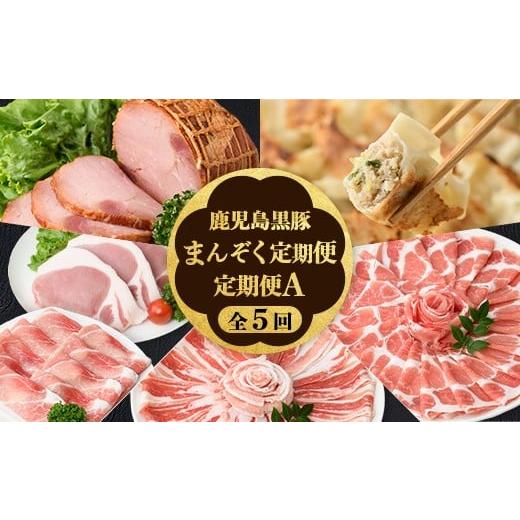 ふるさと納税 豚肉 セット 鹿児島県 肝付町 D02006 定期便・全5回 かごしま黒豚まんぞく定期便A (月1回×5ヶ月) 鹿児島 国産 肉 豚肉 黒豚 焼豚 肩ロース ロー…
