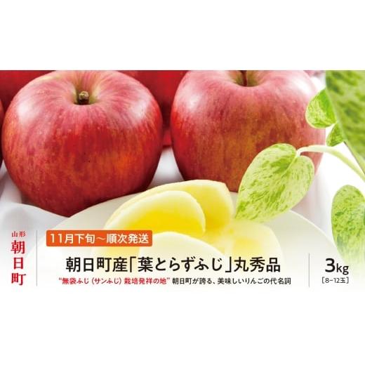 ふるさと納税 りんご 山形県 朝日町 先行予約 りんご 葉取らず ふじ 丸秀品 約 3kg 8〜12玉 2026年11月下旬から12月下旬発送 山形県 朝日町産 山形県産 果物 …