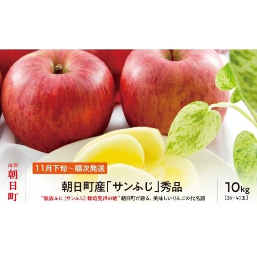 ふるさと納税 りんご 山形県 朝日町 先行予約 サンふじ りんご 秀品 約 10kg 26〜40玉 2026年11月下旬から12月下旬発送 山形県 朝日町産 山形県産 果物 フル…