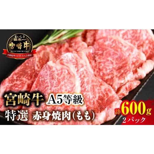 ふるさと納税 牛肉 モモ 宮崎県 国富町 新鮮チルド 宮崎牛特選 赤身焼肉 合計600g(2パック) 合計600g(2パック)