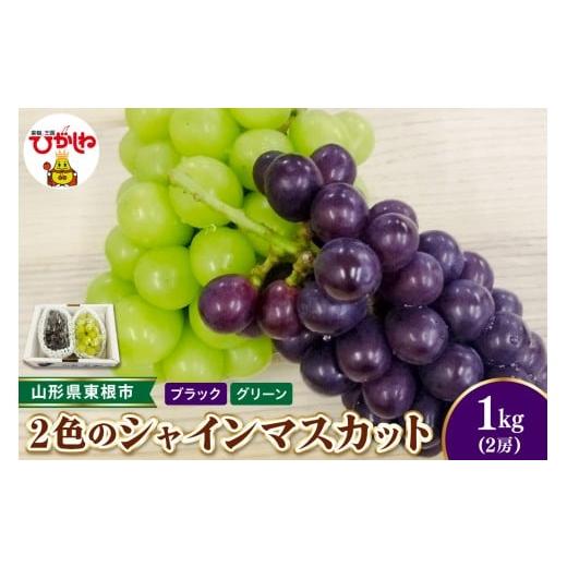 ふるさと納税 ぶどう マスカット 山形県 東根市 2026年産 先行受付 東根市産2色のシャインマスカット ブラック&グリーン 秀品 計2房 ベジフルひがしね 山形…