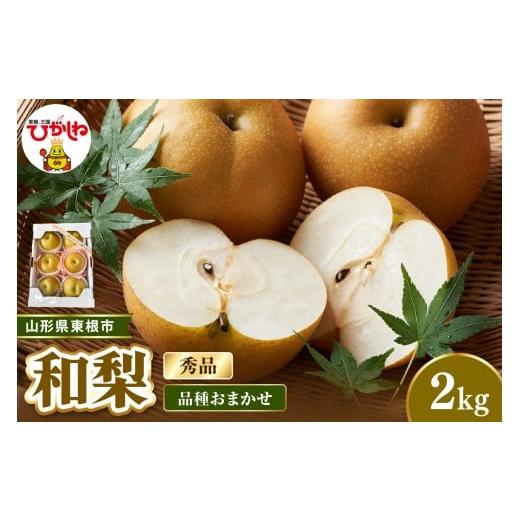 ふるさと納税 梨 山形県 東根市 2026年産 先行受付 東根市産和梨 約2kg(品種おまかせ) 秀品 ベジフルひがしね 山形県 東根市 hi104-016