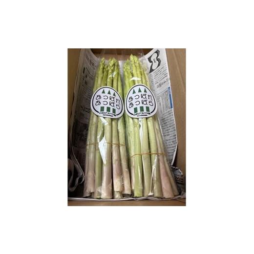 ふるさと納税 野菜類 アスパラガス 愛知県 豊川市 2026年4月〜順次発送予定 新鮮朝採れアスパラガス 1kg 1667758