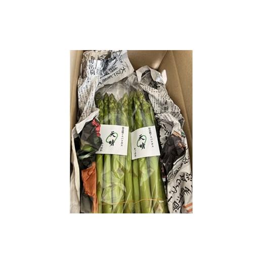 ふるさと納税 野菜類 アスパラガス 愛知県 豊川市 2026年4月〜順次発送予定 特選アスパラガス 1kg 1667807