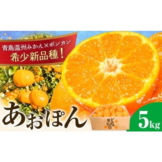 ふるさと納税 果物類 みかん 和歌山県 日高町 あおぽん ( 青島温州みかん × デコポン ) みかん デコポン 約 5kg どの坂果樹園[2026年1月下旬-2月中旬頃出荷…