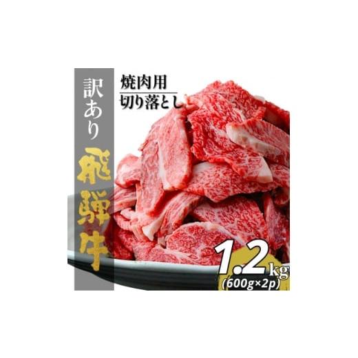 ふるさと納税 牛肉 焼肉・バーベキュー 岐阜県 養老町 訳あり 飛騨牛切り落し焼肉用1.2kg小分け(600g×2p) 1709689