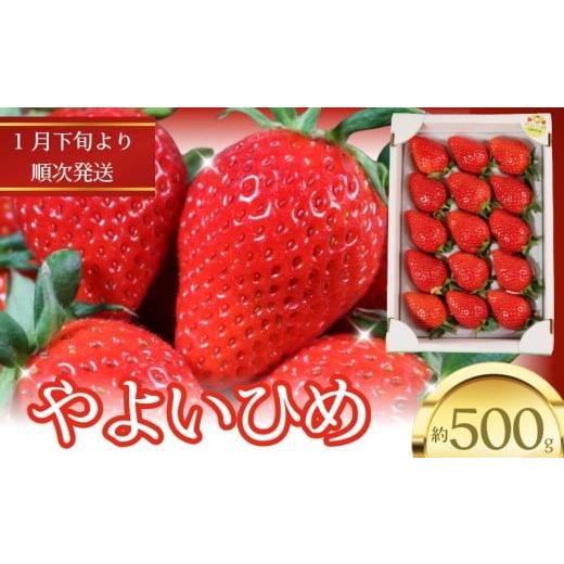 ふるさと納税 いちご 千葉県 銚子市 いちご やよいひめ 約450g〜500g 12〜15粒 贈答 におすすめ 苺 イチゴ 大粒 甘い 美味しい 食べ頃 お取り寄せ 通販 産地直…