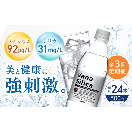ふるさと納税 水・ミネラルウォーター 500mL〜999mL 大阪府 高槻市 全3回定期便 2ヵ月に1回お届け 炭酸水 VanaSilica(バナシリカ) 富士山のバナジウム&シ…