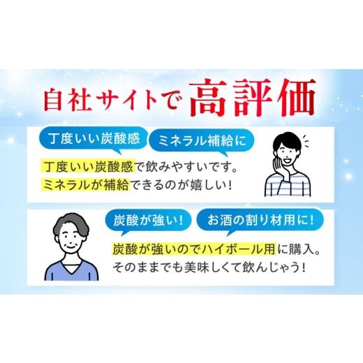 ふるさと納税 水・ミネラルウォーター 500mL〜999mL 大阪府 高槻市  全3回定期便 VanaSilica（バナシリカ） 富士山のバナジウム＆シリカ 強炭酸水 500ml 24本 …の画像