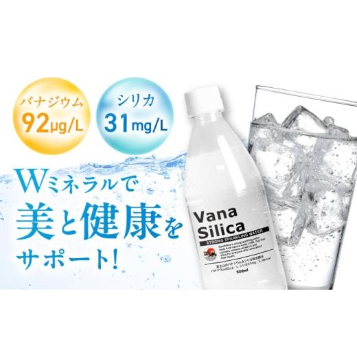 ふるさと納税 水・ミネラルウォーター 500mL〜999mL 大阪府 高槻市  全3回定期便 VanaSilica（バナシリカ） 富士山のバナジウム＆シリカ 強炭酸水 500ml 24本 …の画像