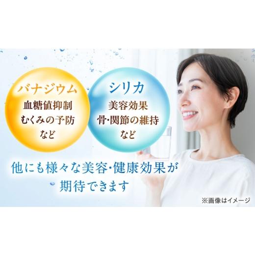 ふるさと納税 水・ミネラルウォーター 500mL〜999mL 大阪府 高槻市  全3回定期便 VanaSilica（バナシリカ） 富士山のバナジウム＆シリカ 強炭酸水 500ml 24本 …の画像