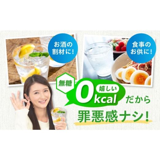 ふるさと納税 水・ミネラルウォーター 500mL〜999mL 大阪府 高槻市  全3回定期便 VanaSilica（バナシリカ） 富士山のバナジウム＆シリカ 強炭酸水 500ml 24本 …の画像