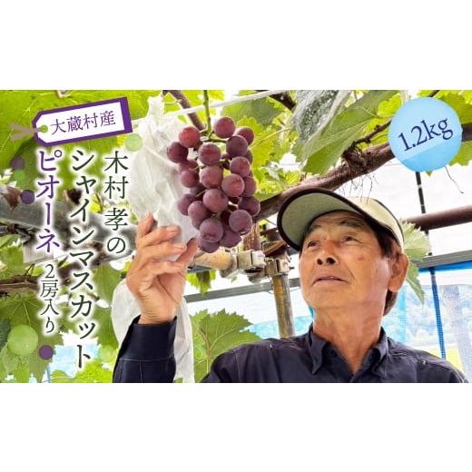 ふるさと納税 ぶどう マスカット 山形県 大蔵村 大蔵村産 シャインマスカット・ピオーネ 2房入り 約1.2kg