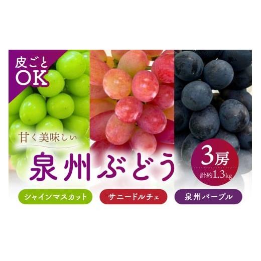 ふるさと納税 果物類 ぶどう 大阪府 泉南市 泉州ぶどう 皮ごとOK 泉州パープル シャインマスカット サニードルチェ 各1房セット 065C-004