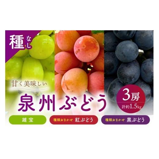 ふるさと納税 果物類 ぶどう 大阪府 泉南市 泉州ぶどう 大粒大房の雄宝とおまかせ2種の3房セット 065C-006