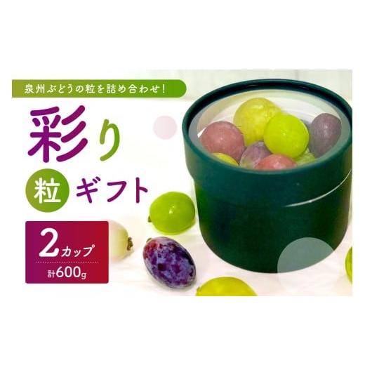ふるさと納税 果物類 ぶどう 大阪府 泉南市 泉州ぶどう 彩り粒ギフト 色とりどりのぶどうのギフト ー彩珠ー 065D-022