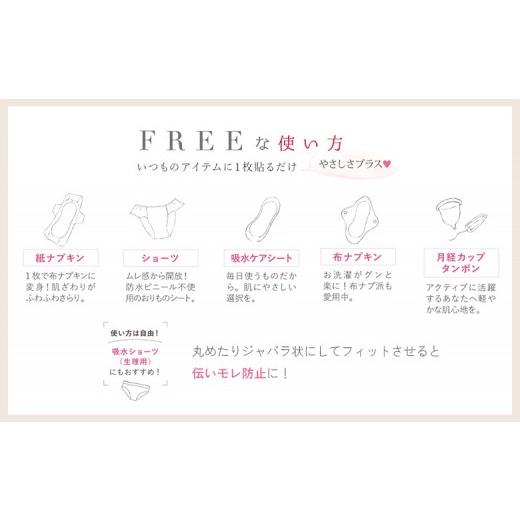 ふるさと納税 雑貨・日用品 宮城県 白石市  定期便：9回 使い捨て布ナプキン FREENA フリーナ 18cm （テープ付）レギュラーサイズ 12枚入 | ナプキン 布ナプキ…の画像