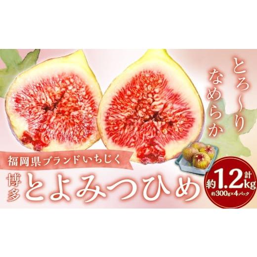 ふるさと納税 いちじく 福岡県 香春町 福岡県ブランド いちじく 「博多とよみつひめ」 約300g×4パック (計約1.2kg) 2026年8月下旬〜2026年10月下旬発送予定…