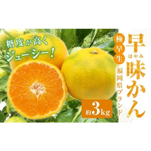 ふるさと納税 果物類 みかん 福岡県 香春町 福岡県ブランド みかん 「早味かん」 3kg 2026年9月下旬〜10月下旬発送予定 蜜柑 ミカン 柑橘 果物 フルーツ 九州 …