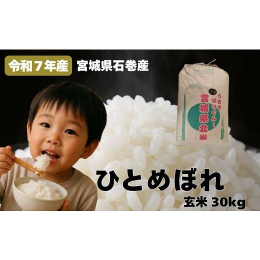 ふるさと納税 玄米 宮城県 石巻市 米 ひとめぼれ 玄米 30kg 令和7年産 ヒトメボレ お米 ごはん ご飯 30キロ 産地直送 米処 美味しい おこめ こめ さっぱり 防…