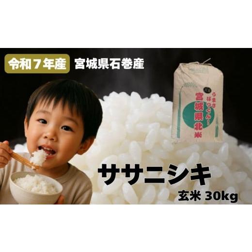 ふるさと納税 玄米 宮城県 石巻市 米 令和7年産 ササニシキ 玄米 30kg お米 ごはん ご飯 飯 30キロ 単一銘柄米 主食 家庭用 美味しい ブランド米 玄米食 あっ…