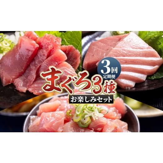 ふるさと納税 マグロ 高知県 香南市 3回定期便 [月替わり]まぐろ 3種 お楽しみセット - 定期便 国産 刺身スライス 柵 切り落とし 海鮮丼 漬け丼 煮物 鮪 …