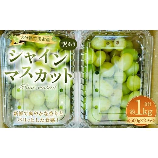 ふるさと納税 ぶどう マスカット 大分県 竹田市 数量限定 粒パック 訳あり シャインマスカット 約1kg (2パック) 2026年8月下旬〜11月上旬発送開始予定
