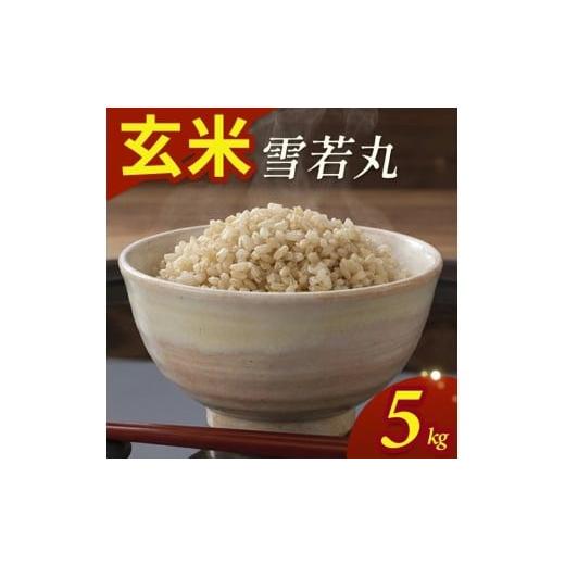 ふるさと納税 玄米 山形県 酒田市 令和7年産 玄米 雪若丸 5kg(5kg×1袋) YA