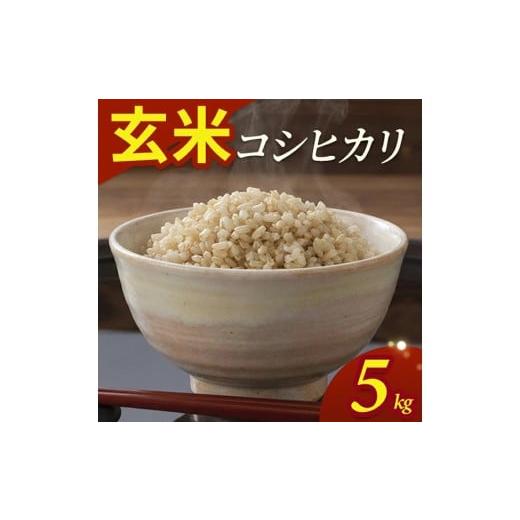 ふるさと納税 玄米 山形県 酒田市 令和7年産 玄米 コシヒカリ 5kg(5kg×1袋) YA