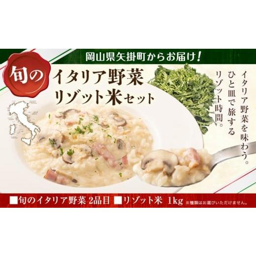 ふるさと納税 セット・詰合せ 岡山県 矢掛町 野菜 米 旬の イタリア野菜 2品目 リゾット米 1kg セット [1月上旬-3月末頃出荷]JA晴れの国 矢掛アグリセンター…