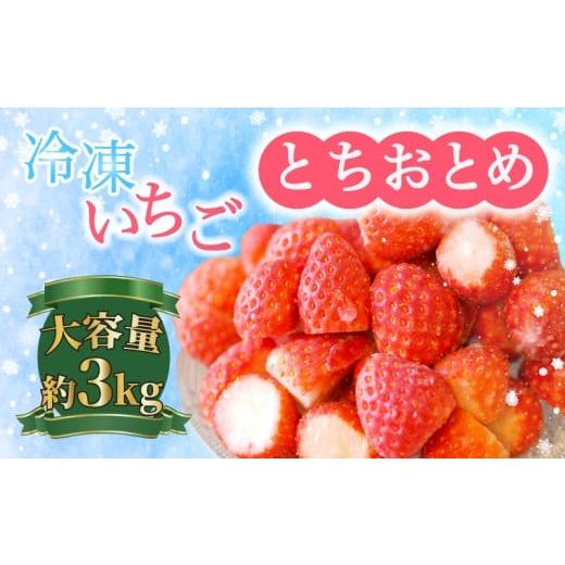 ふるさと納税 いちご 千葉県 銚子市 冷凍イチゴ 3kg (1kg × 3 )とちおとめ いちご イチゴ 苺 フルーツ 果物 冷凍 冷凍いちご 冷凍イチゴ 冷凍苺 冷凍フルー…