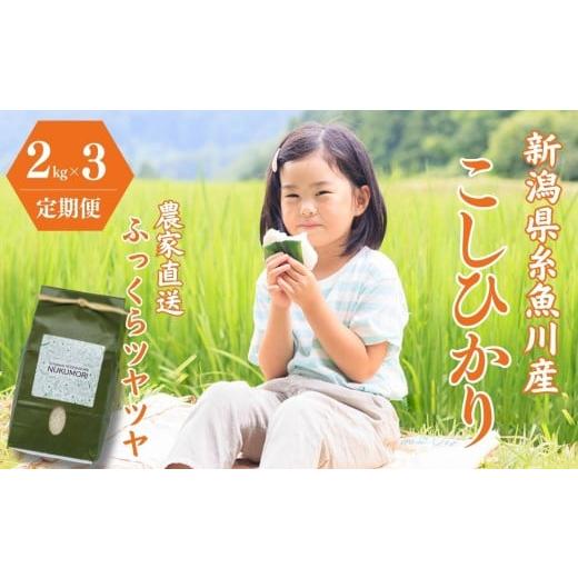 ふるさと納税 米 コシヒカリ 新潟県 糸魚川市 令和7年産 定期便 新潟県産『コシヒカリ』2kg×3回 計6kg 毎月お届け 米・食味鑑定士お墨付き 農家自慢の逸品 …