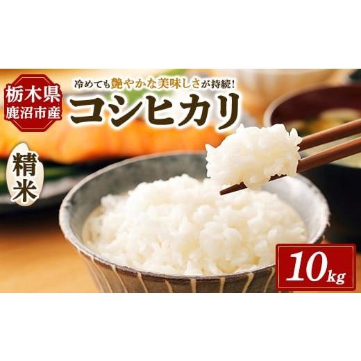 ふるさと納税 米 コシヒカリ 栃木県 鹿沼市 令和7年度産 コシヒカリ 精米 10kg | 白米 お米 米 こしひかり 農家直送 栃木県 鹿沼市 北海道・沖縄・離島への配…