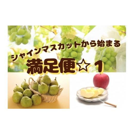 ふるさと納税 ぶどう マスカット 山形県 中山町 2026年度発送 定期便 3回 シャインマスカットから始まる 満足定期便 1