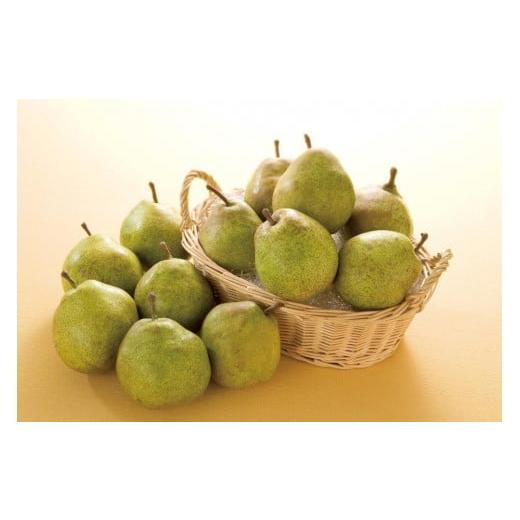 ふるさと納税 梨 山形県 中山町 2026年発送「果実の女王」ラ・フランス 小玉 約5kg(24〜28玉)