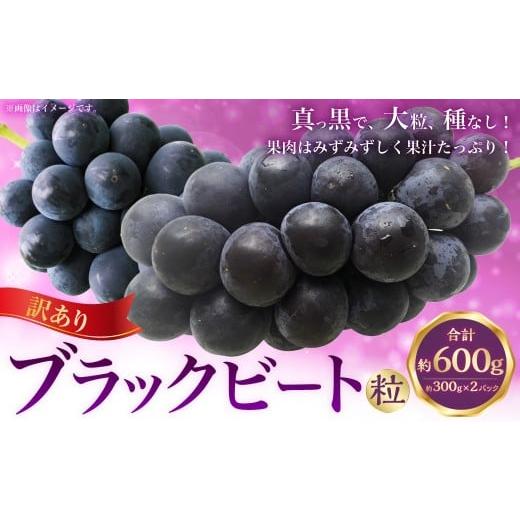 ふるさと納税 果物類 ぶどう 高知県 香美市 (訳あり) ブラックビート粒 約600g(約300g×2パック) ブラックビート ぶどう ブドウ 葡萄 果物 くだもの フル…