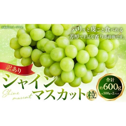 ふるさと納税 ぶどう マスカット 高知県 香美市 (訳あり) シャインマスカット粒 約600g(約300g×2パック) シャインマスカット マスカット ぶどう ブドウ …