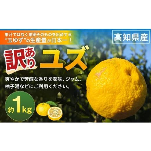 ふるさと納税 みかん・柑橘類 ゆず 高知県 香美市 (訳あり) ユズ 約1kg ゆず 柚子 果物 くだもの フルーツ 常温 2026年11月上旬〜12月下旬迄発送予定