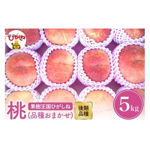 ふるさと納税 もも 山形県 東根市 2026年産 先行予約 もも「品種おまかせ」5kg (後期品種) 滝口観光果樹園提供 山形県 東根市 hi030-045