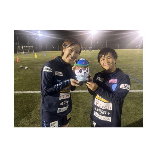 ふるさと納税 雑貨・日用品 ぬいぐるみ 山梨県 鳴沢村 なるシカくんぬいぐるみ（FCふじざくらバージョン）NSJ047の画像