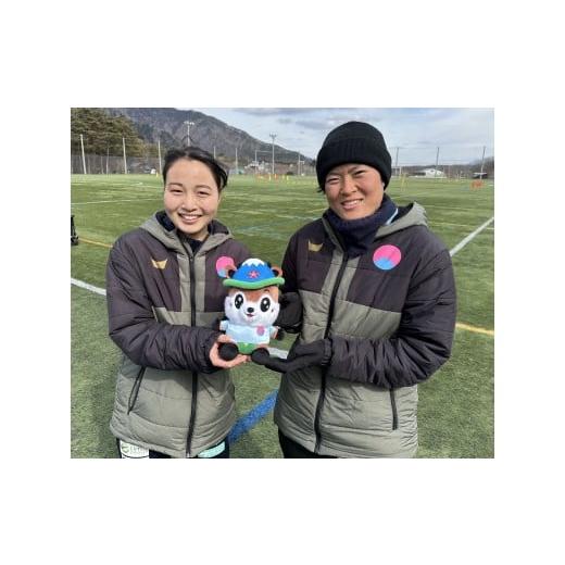 ふるさと納税 雑貨・日用品 ぬいぐるみ 山梨県 鳴沢村 なるシカくんぬいぐるみ（FCふじざくらバージョン）NSJ047の画像