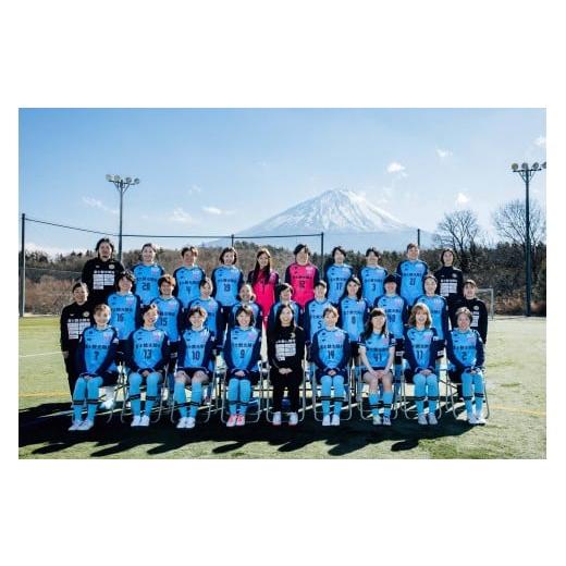 ふるさと納税 雑貨・日用品 ぬいぐるみ 山梨県 鳴沢村 なるシカくんぬいぐるみ（FCふじざくらバージョン）NSJ047の画像