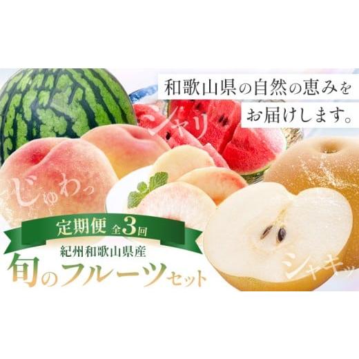 ふるさと納税 果物の詰合せ 和歌山県 日高町 紀州 和歌山県産 旬の フルーツ セット 3ヶ月定期便 6月・7月・8月配送 小玉スイカ (ひとりじめ) 1玉 桃 約1.8k…