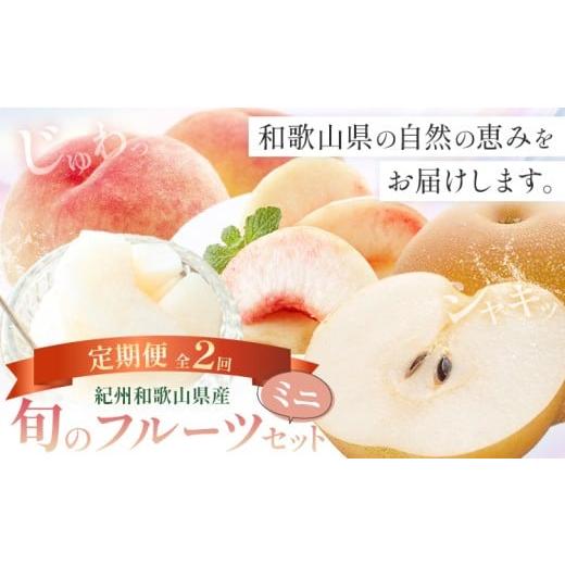 ふるさと納税 果物の詰合せ 和歌山県 日高町 紀州 和歌山県産 旬の フルーツ セット ミニ 2ヶ月定期便 8月・9月配送 桃 3玉 梨 3玉 株式会社魚鶴商店[8月中旬…