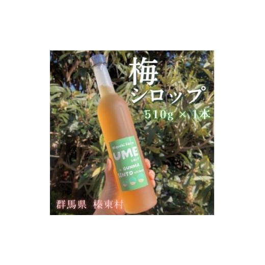 ふるさと納税 野菜類 ジュース 群馬県 榛東村 梅シロップ 510ml×1本 1705090