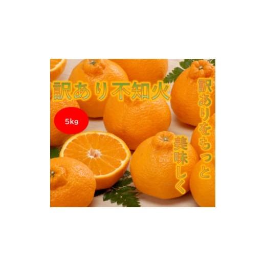 ふるさと納税 みかん・柑橘類 愛媛県 八幡浜市 訳あり みさき果樹園の不知火5kg A21-62 1706050