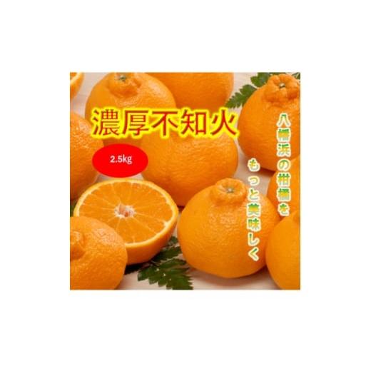 ふるさと納税 みかん・柑橘類 愛媛県 八幡浜市 みさき果樹園で栽培・収穫・段々畑育ちの濃厚不知火2.5kg A21-64 1706100