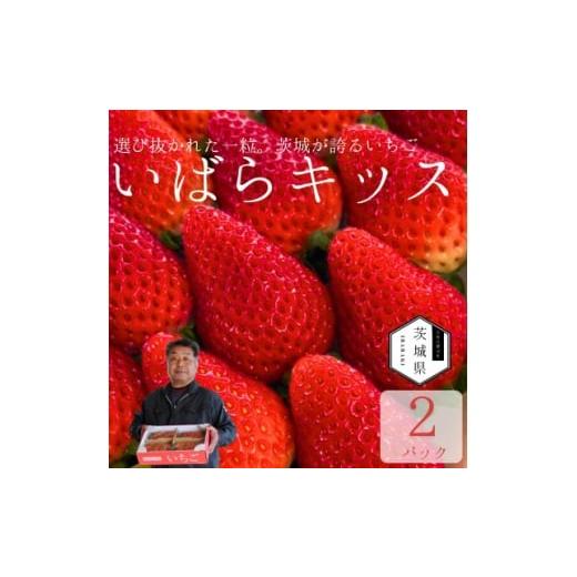 ふるさと納税 いちご 茨城県 - 特別栽培農産物 いばらキッス 2パック 茨城県オリジナルブランドいちご 拓実の会(濱野いちご園) 1710007